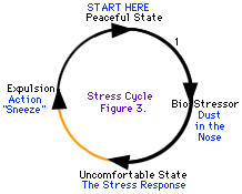 Niektóre cykle stresu są łatwiejsze do przejścia niż inne.