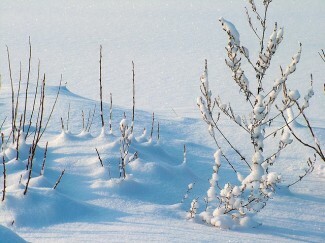 Zima może pogorszyć depresję, ale przeczytaj te wskazówki, jak przetrwać zimę z depresją, aby się odeprzeć.